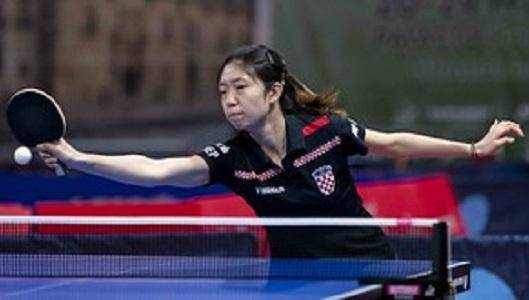 场地的草坪 场地的草坪